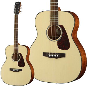 MORRIS F-1 AR[XeBbNM^[ P[Xt [X