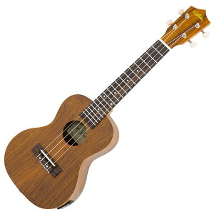 ARIA ACU-1KE GLEN RT[g RA AA