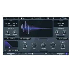 MINIMAL AUDIO Swarm Reverb ~j}I[fBI [[[i s]