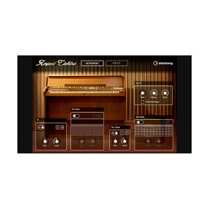steinberg Amped Elektra �ŐV�o�[�W���� �������K�i �X�^�C���o�[�O 1334-1151[���[���[�i ������s��]