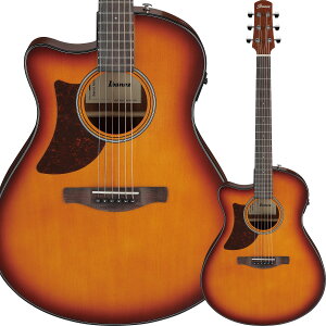 Ibanez AAM50LCE-OLB GAR tgnh p ACoj[Y