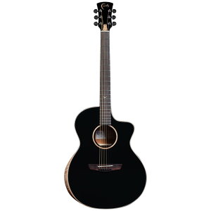Faith FNCEEC Eclipse Neptune Cutaway Electro GARM^[ tFCX