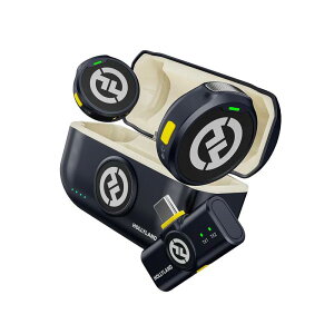 HOLLYLAND Lark M2 Mobile Version (USB-C) Shine Charcoal CX}CNZbg [M@ x2 + USB-CM@ + [dP[X]@s}CN VC`R[ z[[h