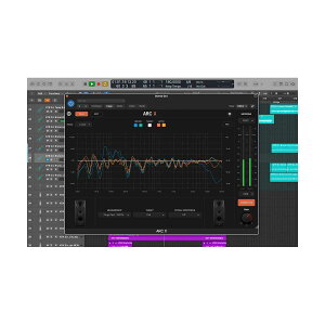 IK Multimedia ARC X (Software only) �v���O�C�� IK�}���`���f�B�A [���[���[�i ������s��]