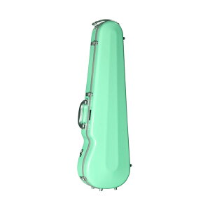 Eastman CAVL-16A-GF パステルグリーン バイオリンケース スタンダード グレーフレーム イーストマン