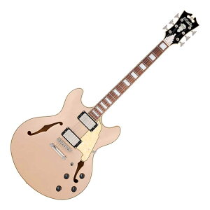 D'Angelico Premier DC XT Satin Desert Gold Z~ARM^[ fBAWFR