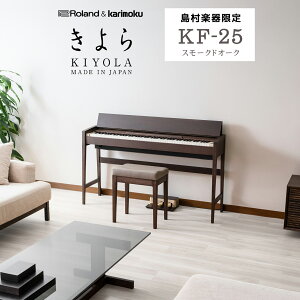 yr[Ŋyv[gz Roland KIYOLA()KF-25 KSO X[NhI[N dqsAm 88 [h yzݒuEsz yyJ[fz