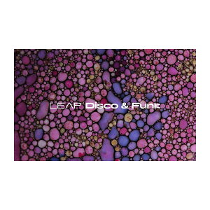 Native Instruments (NI) Leap Expansion - Disco and Funk �l�C�e�B�u�C���X�g�D�������c [���[���[�i ������s��]