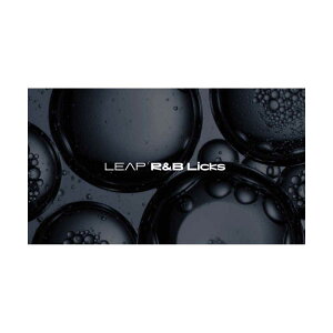 Native Instruments (NI) Leap Expansion - R&B Licks �l�C�e�B�u�C���X�g�D�������c [���[���[�i ������s��]