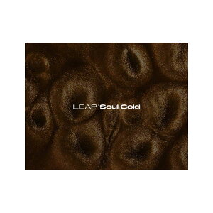 Native Instruments (NI) Leap Expansion - Soul Gold lCeBuCXgDc [[[i s]