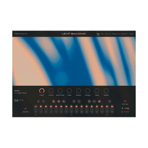 Native Instruments (NI) Leap Expansion - Soul Choir �l�C�e�B�u�C���X�g�D�������c [���[���[�i ������s��]