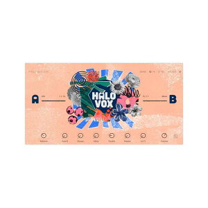 Native Instruments (NI) Halo Vox �l�C�e�B�u�C���X�g�D�������c [���[���[�i ������s��]