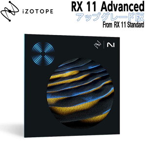 iZotope RX 11 Advanced AbvO[h from RX 11 Standard AC]g[v [[[i s]