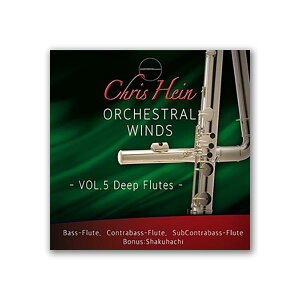 BEST SERVICE CHRIS HEIN WINDS VOL 5 - DEEP FLUTES �\�t�g���� �f�B�[�v�E�t���[�g���� �x�X�g�T�[�r�X C5600[���[���[�i ������s��]