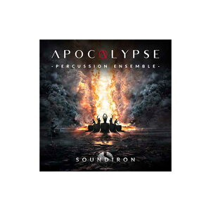 �y30���̓G���g���[�ł����P5�{�zSOUNDIRON APOCALYPSE PERCUSSION ENSEMBLE �\�t�g���� �T�E���h�A�C�A�� C7476[���[���[�i ������s��]