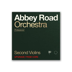 SPITFIRE AUDIO ABBEY ROAD ORCH: 2ND VIOLINS PRO AbvO[h FROM CORE \tg SONICWIREɂCOREłw Xsbgt@CAI[fBI C7202[[[i s]