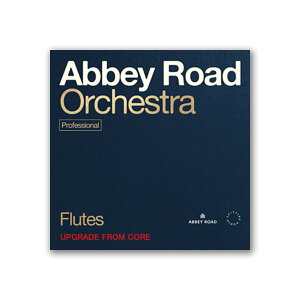 SPITFIRE AUDIO ABBEY ROAD ORCHESTRA: FLUTES PRO AbvO[h FROM CORE \tg SONICWIREɂCOREłw Xsbgt@CAI[fBI C7206[[[i s]