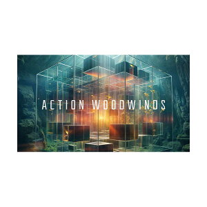 Native Instruments (NI) Action Woodwinds �\�t�g���� �l�C�e�B�u�C���X�g�D�������c [���[���[�i ������s��]