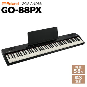 Roland GO-88PX [h GO:PIANO88yAEgbgz