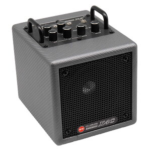 Phil Jones Bass (PJB) X4C Carbon Silver (�J�[�{���V���o�[) �x�[�X�A���v ���o�C���o�b�e���[�쓮�Ή����f�� �t�B���W���[���Y�x�[�X