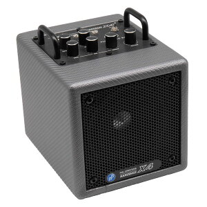 Phil Jones Bass (PJB) X4 Carbon Silver (�J�[�{���V���o�[) �x�[�X�A���v �R���{�A���v Bluetooth���� �t�B���W���[���Y�x�[�X