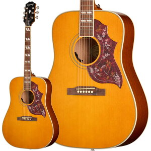 Epiphone Hummingbird Studio Antique Natural �A�R�[�X�e�B�b�N�M�^�[ �G���A�R �A���e�B�[�N�i�`������ �G�s�t�H�� EASHBANNH1