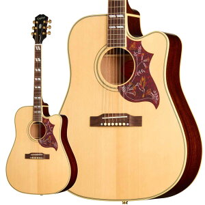 �y�}���\�����Ԓ� �G���g���[�ł���P5�{�zEpiphone Hummingbird Studio EC Natural �A�R�[�X�e�B�b�N�M�^�[ �G�s�t�H��