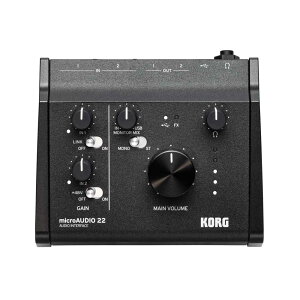 KORG microAUDIO 22