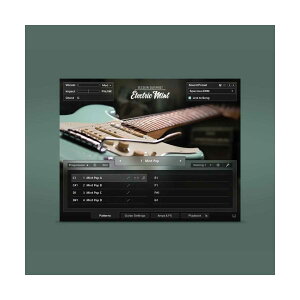 Native Instruments (NI) Session Guitarist - Electric Mint �l�C�e�B�u�C���X�g�D�������c [���[���[�i ������s��]