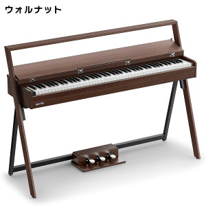 �y�}���\�����Ԓ� �G���g���[�ł����P5�{�z Donner OURA R300 Walnut �d�q�s�A�m �h�i�[ �y���q�l�g�ݗ��ď��i�z�y�A�E�g���b�g�z