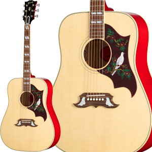 Gibson Dove Original Antique Natural �G���A�R �A�R�[�X�e�B�b�N�M�^�[ �M�u�\��