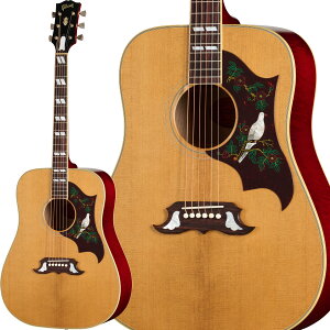 Gibson Custom 1963 Dove Reissue Light Aged Dark Natural �A�R�[�X�e�B�b�N�M�^�[ �M�u�\��