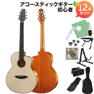 aNueNue aNN-LF23 �A�R�[�X�e�B�b�N�M�^�[���S��12�_�Z�b�g �A�R�[�X�e�B�b�N�M�^�[ �A�k�G�k�G