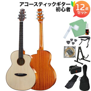 aNueNue aNN-LF23E �G���A�R�M�^�[���S��12�_�Z�b�g �A�R�[�X�e�B�b�N�M�^�[ �s�b�N�A�b�v���� �A�k�G�k�G