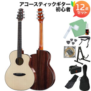 aNueNue aNN-LF28E �G���A�R�M�^�[���S��12�_�Z�b�g �A�R�[�X�e�B�b�N�M�^�[ �s�b�N�A�b�v���� �A�k�G�k�G