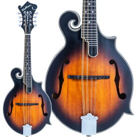 WASHBURN M3SE マンドリン Fスタイル パッシブピックアップ内蔵 ワッシュバーン