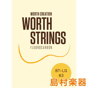 WORTH BT-LG Brown EN tJ[{ Tenor Low-G Zbg [X