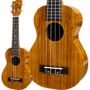 S.Yairi YU-S-01K \vmEN RA P[Xt SC