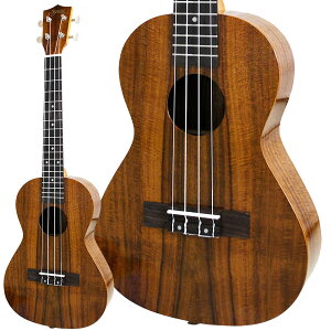 S.Yairi YU-T-01K ei[EN RA P[Xt SC