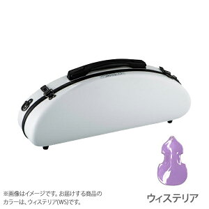 C.C.VCj[P[X VCj[P[XII CLA WS EBXeA NlbgP[X