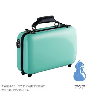 C.C.VCj[P[X VCj[P[XII CLA~j AQ ANA Nlbg ~j P[X