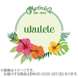 Martin NAtJ[{ 0220-0251 ei[ M620 }[` EN