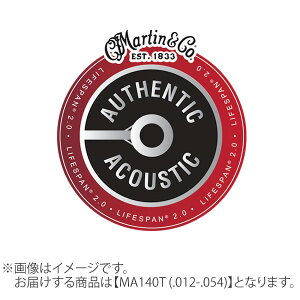 Martin LIFESPAN 2.0 80/20uY 012-054 Cg MA140T }[` AR[XeBbNM^[