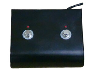 BadCat 2-Button Foot Switch 2{^ tbgXCb` obhLbg