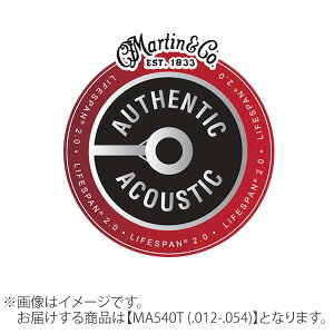 Martin LIFESPAN 2.0 92/8tHXt@[uY 012-054 Cg MA540T }[` AR[XeBbNM^[