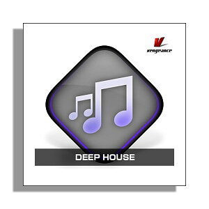 [���� 2026/01/11��] VENGEANCE SOUND DEEP HOUSE �x���W�F���X�E�T�E���h B1730[���[���[�i ������s��]