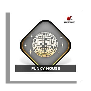 [���� 2026/01/11��] VENGEANCE SOUND FUNKY HOUSE �x���W�F���X�E�T�E���h B1736[���[���[�i ������s��]