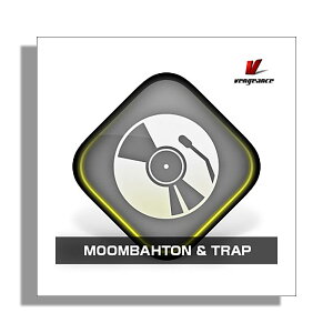 [���� 2026/01/11��] VENGEANCE SOUND MOOMBAHTON & TRAP �x���W�F���X�E�T�E���h B1741[���[���[�i ������s��]