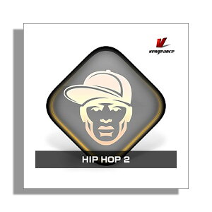 [���� 2026/01/11��] VENGEANCE SOUND HIP HOP 2 �x���W�F���X�E�T�E���h B1777[���[���[�i ������s��]