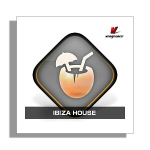 [���� 2026/01/11��] VENGEANCE SOUND IBIZA HOUSE �x���W�F���X�E�T�E���h B1782[���[���[�i ������s��]